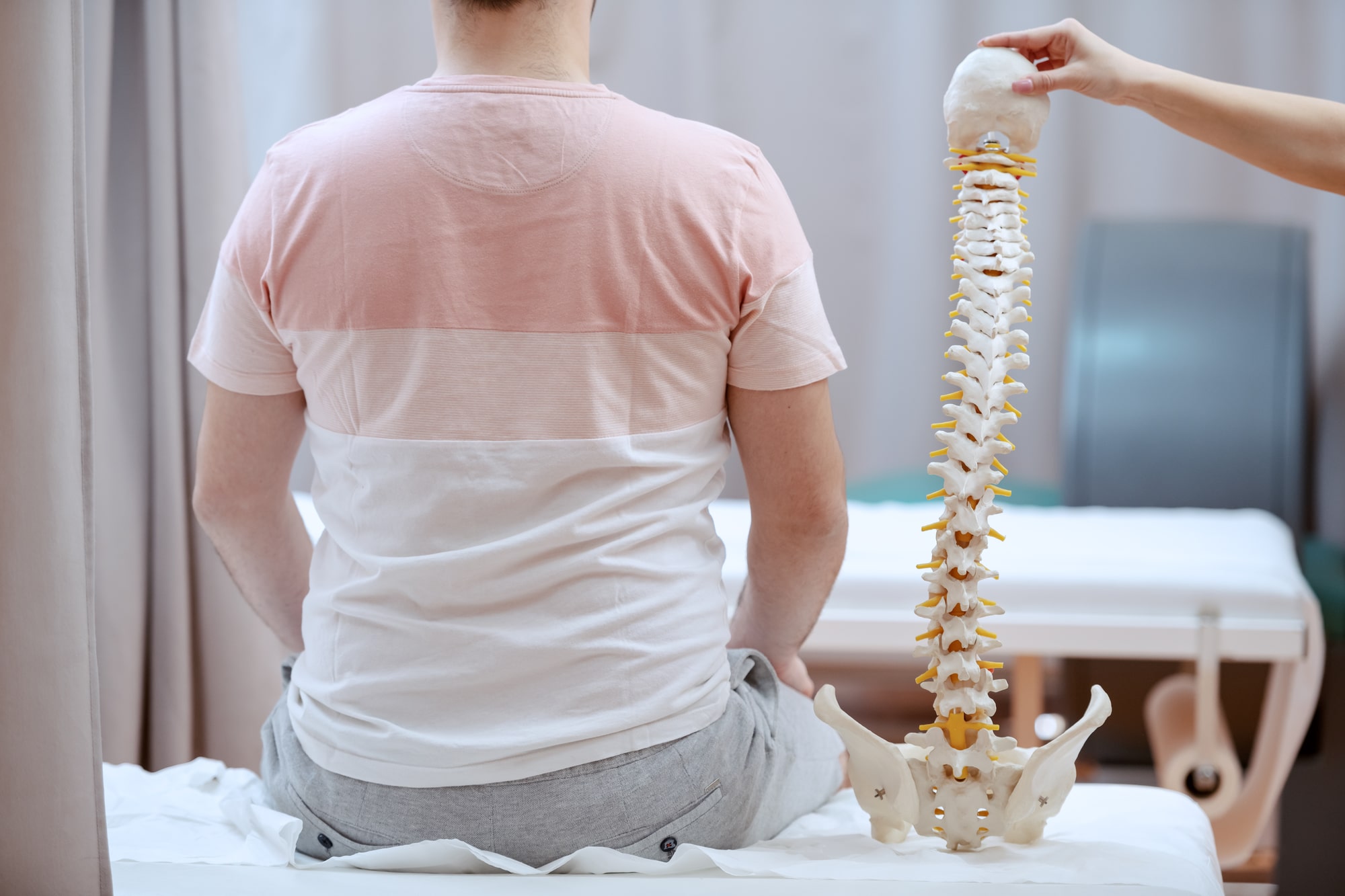 doctor holding spine model next to patient's back