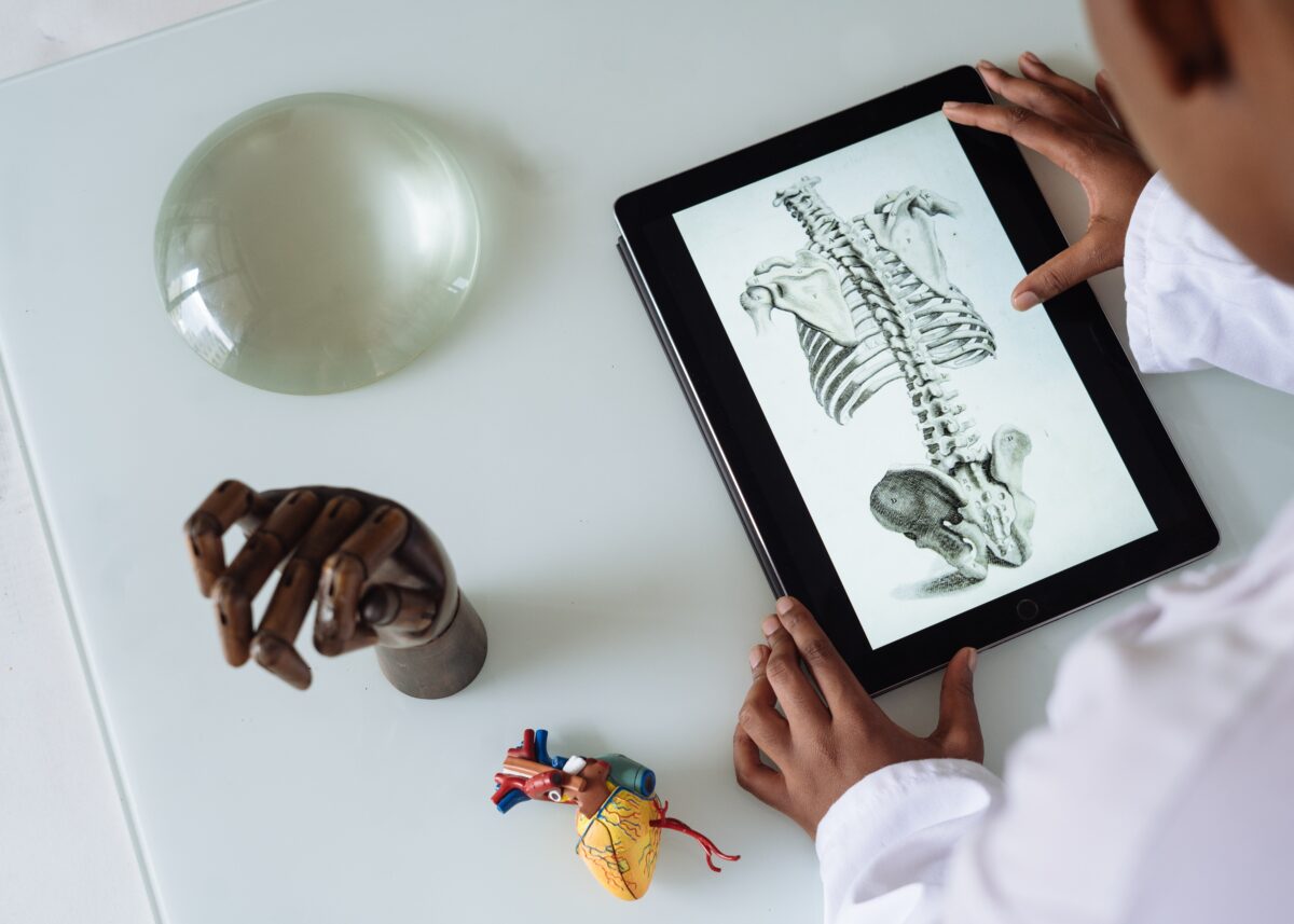 man studying spinal anatomy on tablet