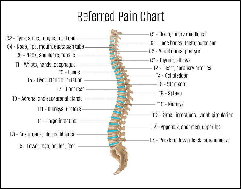 referred pain chart