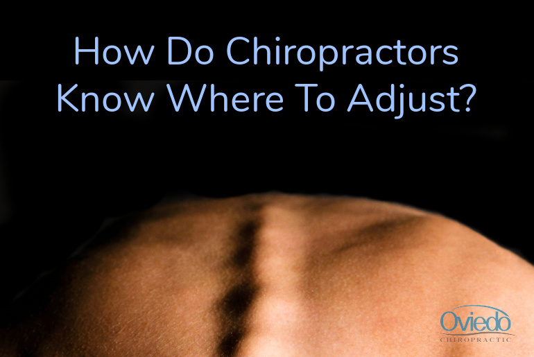 how-do-chiropractors-know-where-to-adjust.jpg