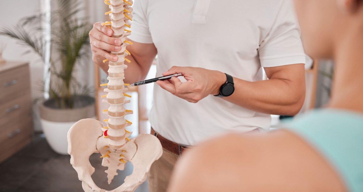 doctor pointing to vertebrae on spine model